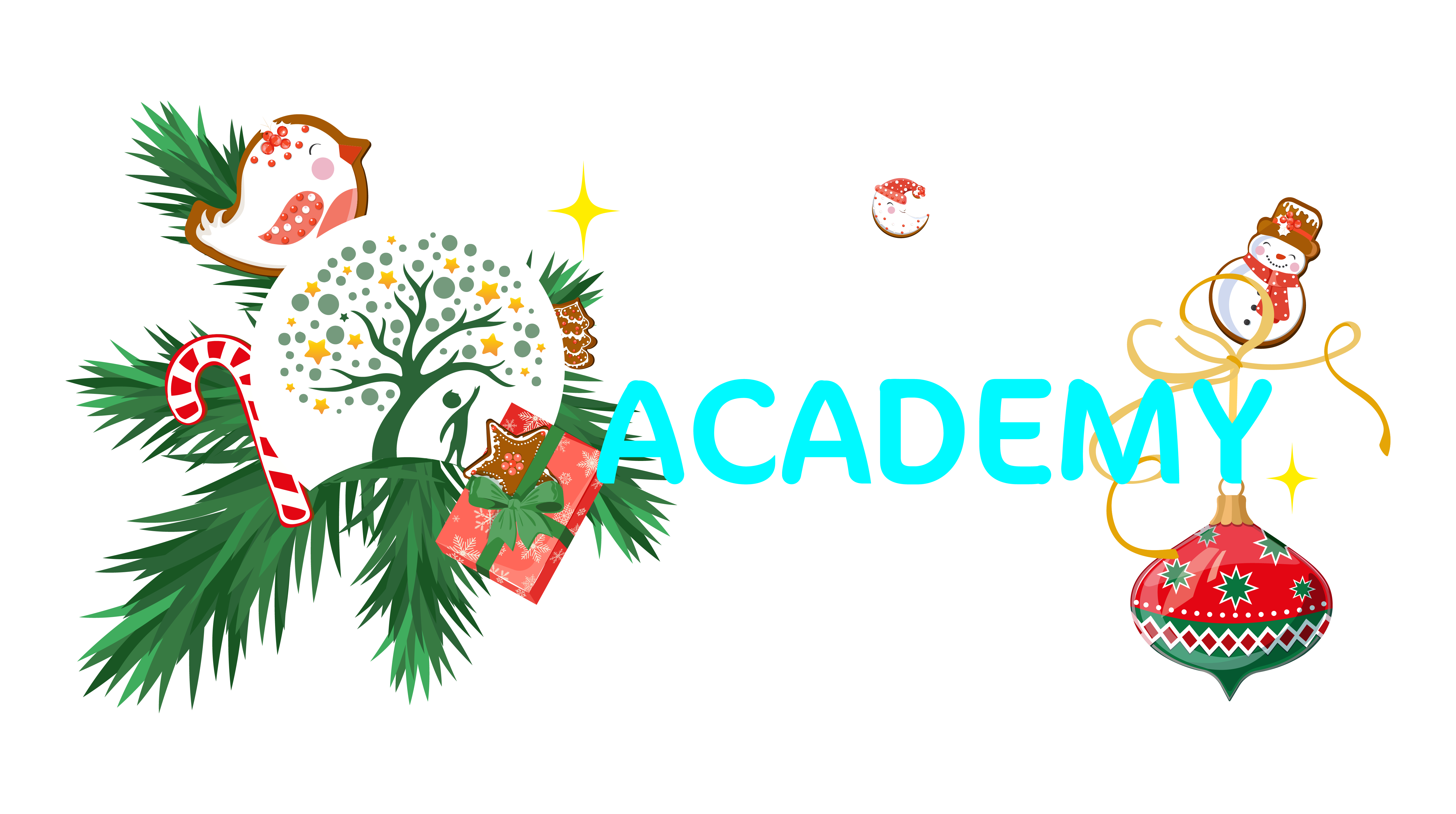 Optima Academy