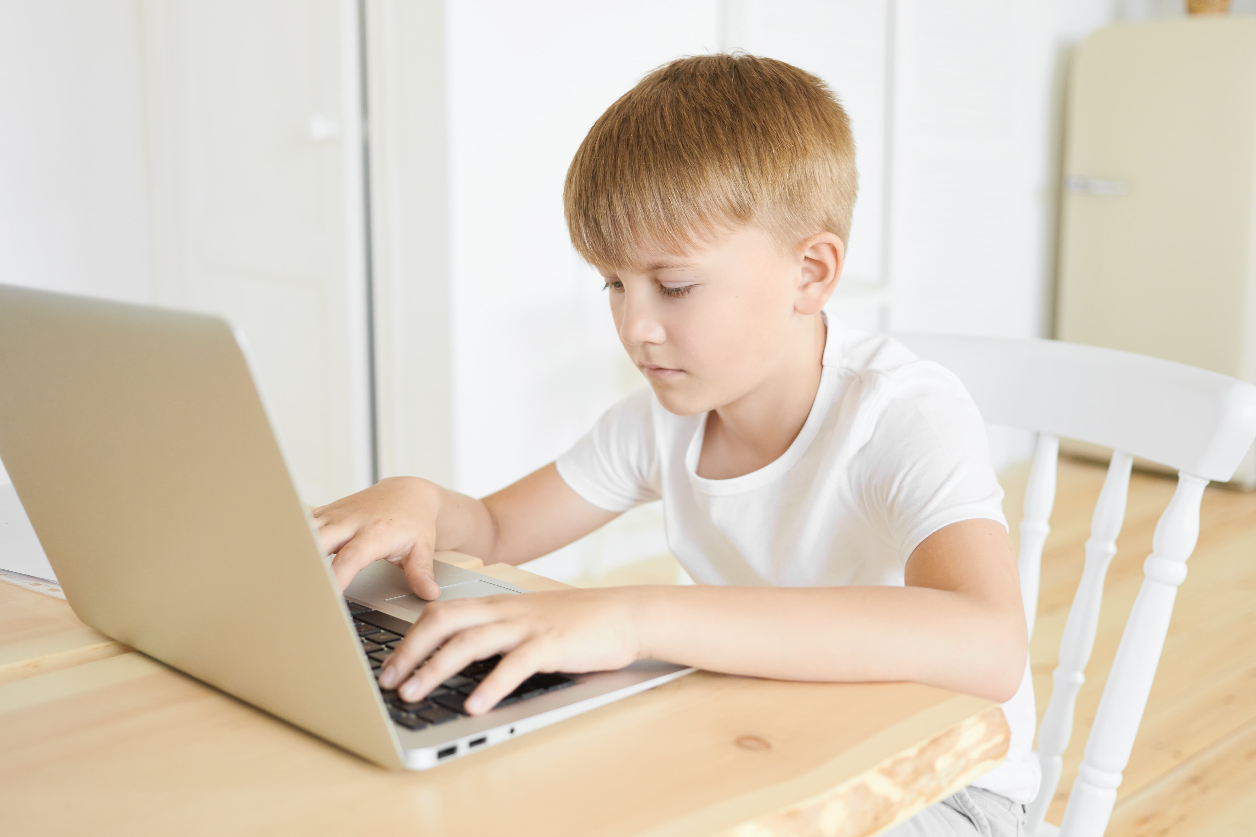 Советы по изучению WEB stack для детей